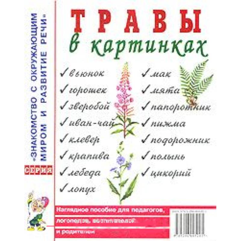 Лето в картинках наглядное пособие для педагогов логопедов