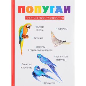 Попугаи