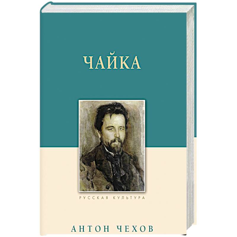 Чайка Чайка