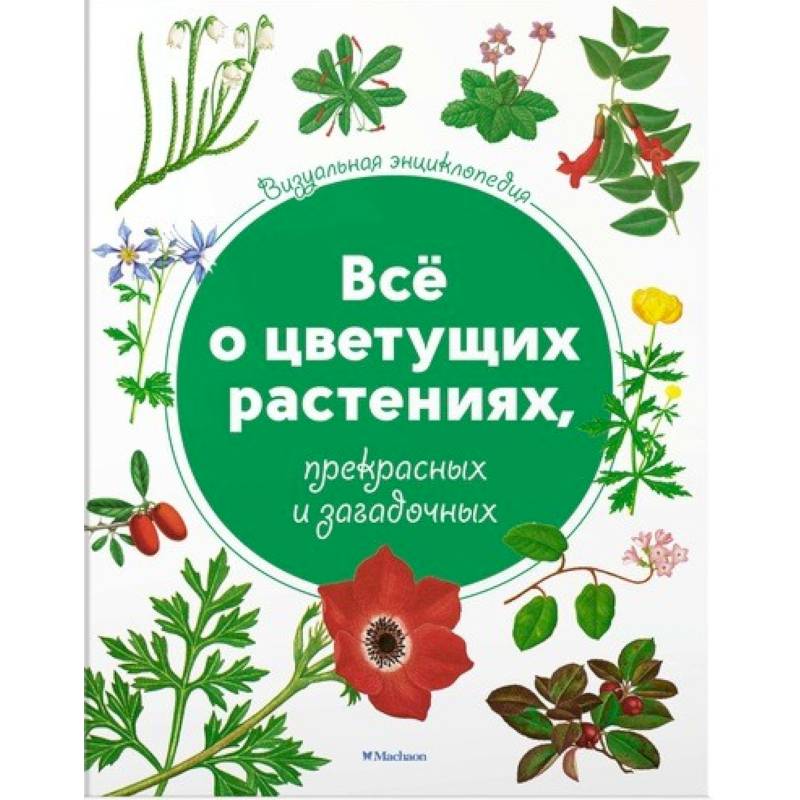 Всё о цветущих растениях, прекрасных и загадочных