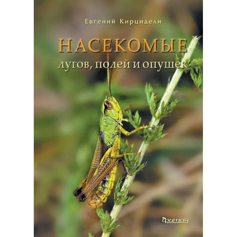 Насекомые лугов, полей и опушек