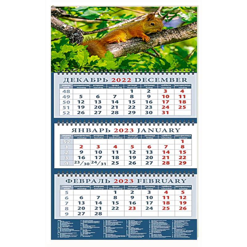 Календарь Очаровательный бельчонок, на 2023 год