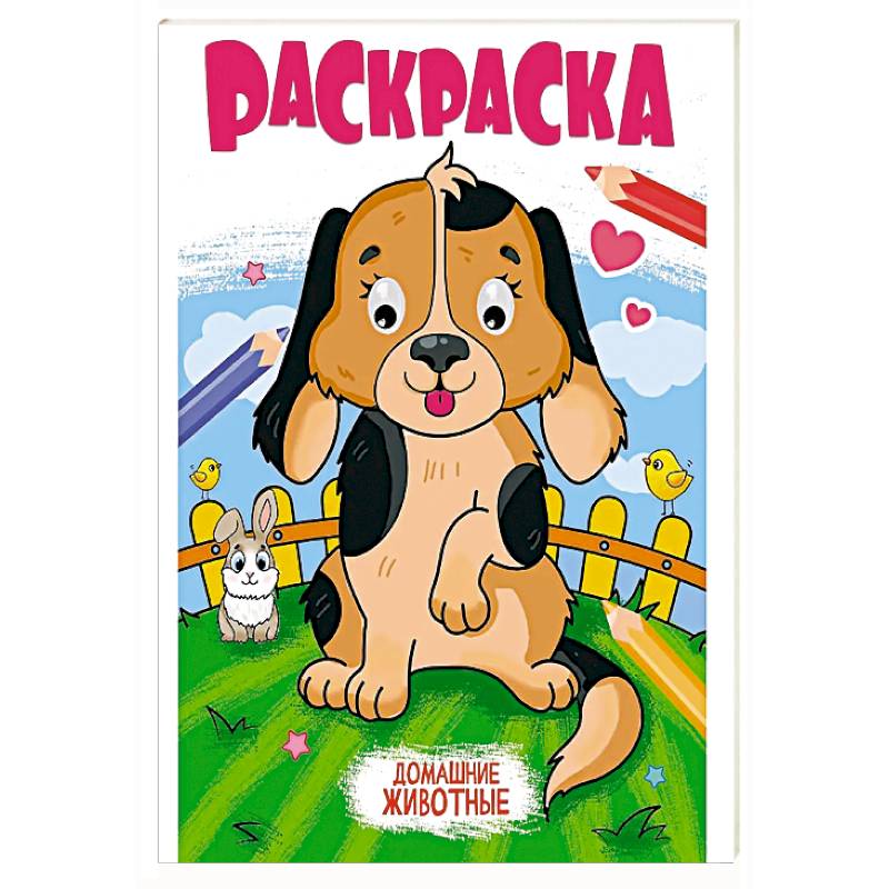 Домашние животные