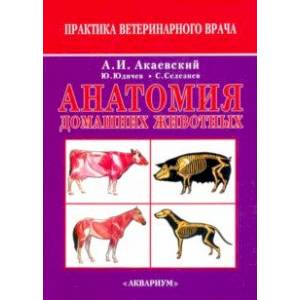 Анатомия домашних животных