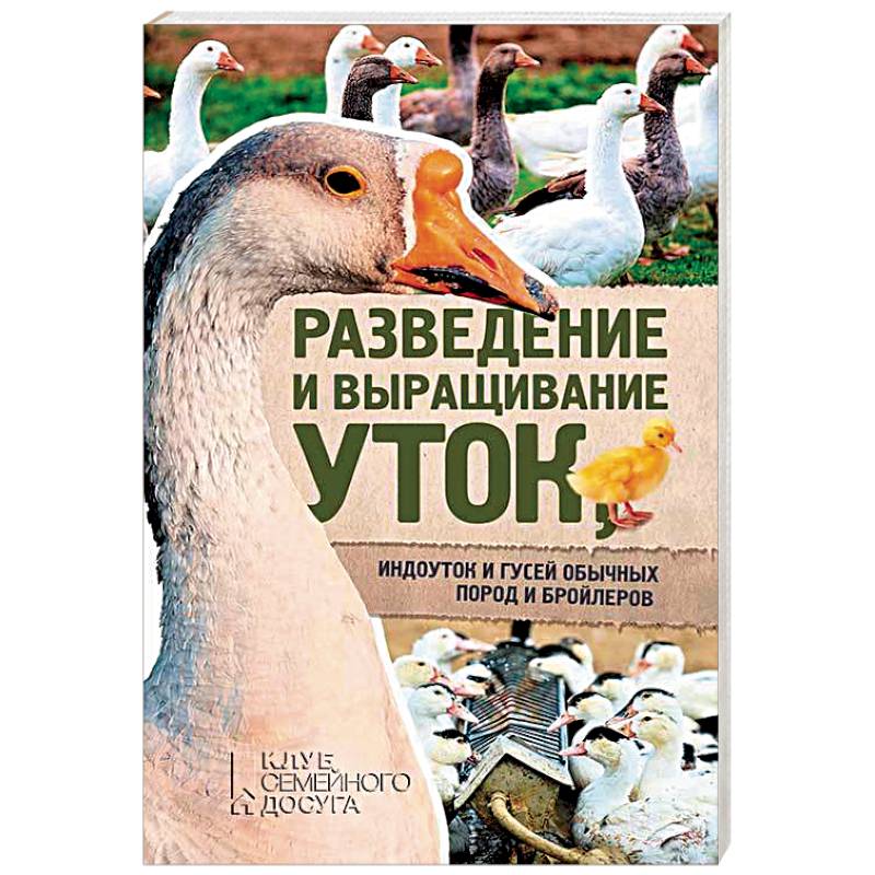 Разведение и выращивание уток, индоуток и гусей обычных пород и бройлеров