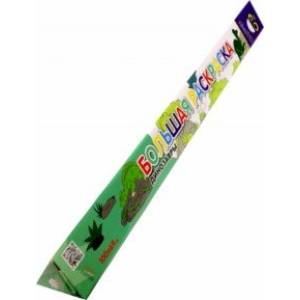 Раскраска большая Динозавры