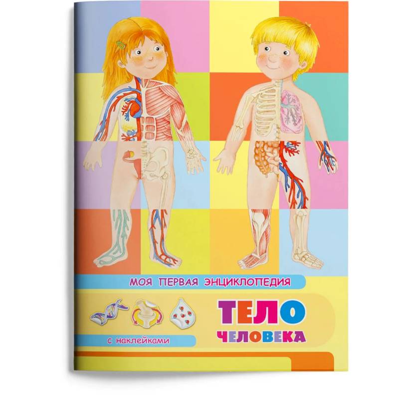 (Накл) Книжка с наклейками. Моя первая энциклопедия. Тело человека (3454) меловка.