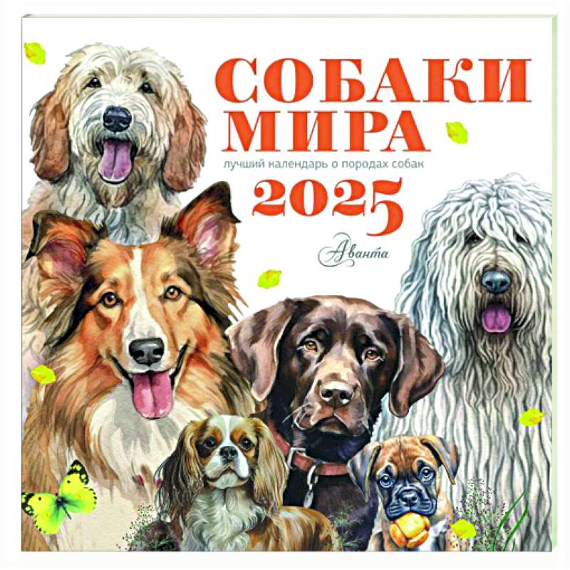 Собаки мира. Календарь для детей на 2025 год