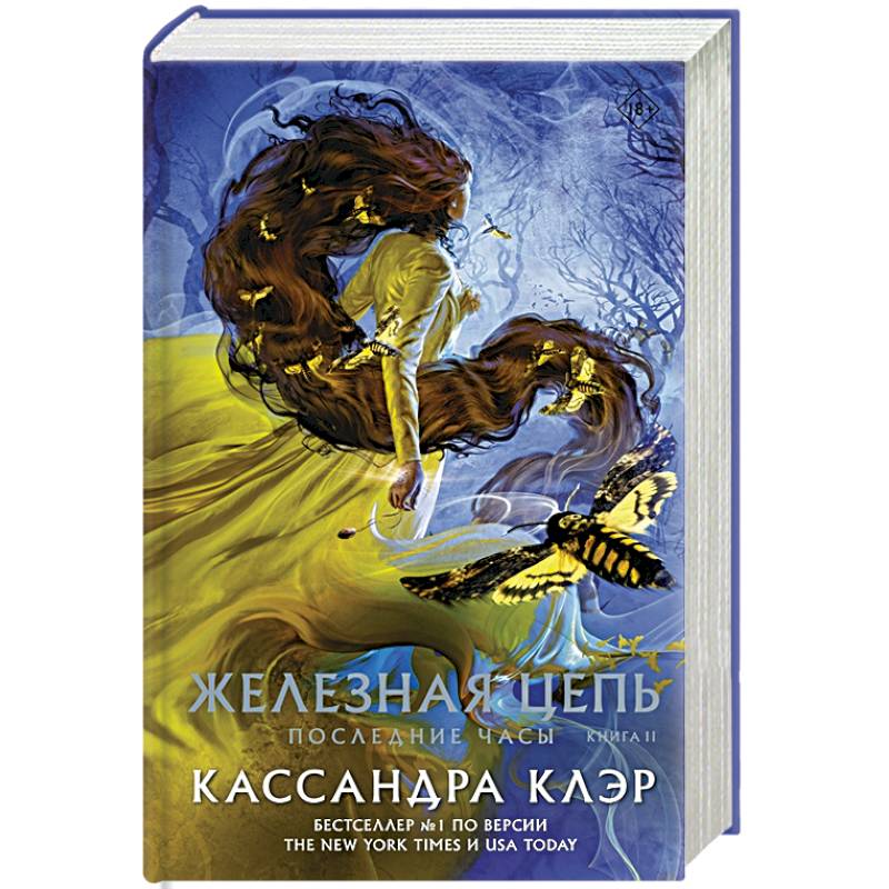 Последние часы. Книга II. Железная цепь