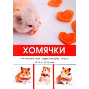 Хомячки