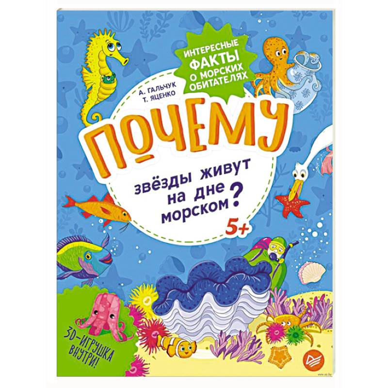 Почему звёзды живут на дне морском? Интересные факты о морских обитателях