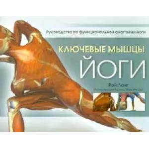 Ключевые мышцы йоги