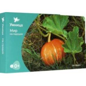 Мир на ладошке. На грядке