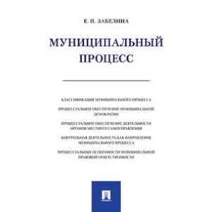Муниципальный процесс