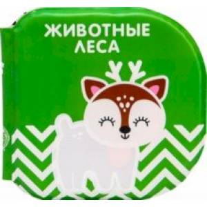 Книжка-раскраска для игры в ванне по методике Гленна Домана Животные леса