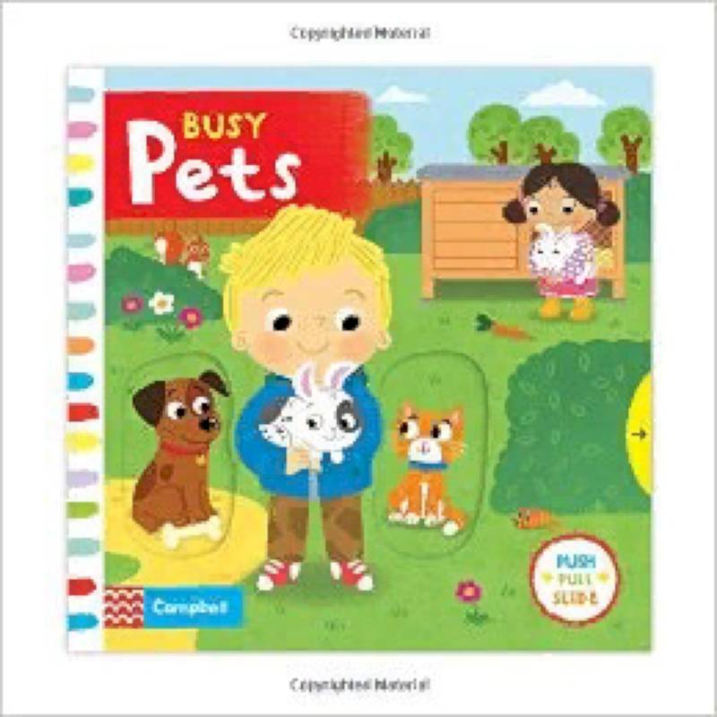 Busy Pets. Board book