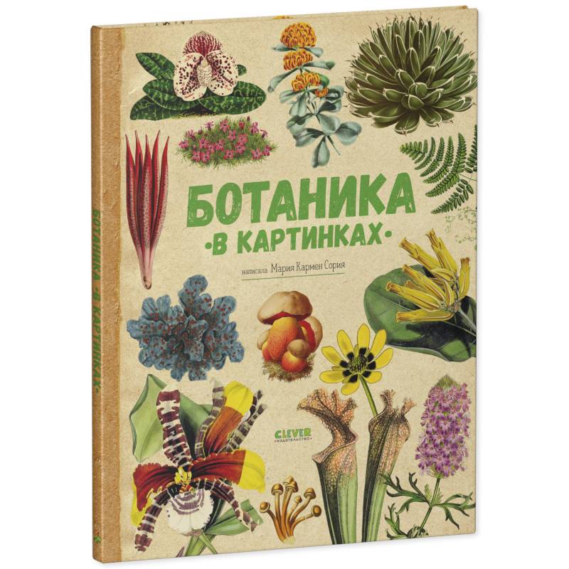 Ботаника в картинках