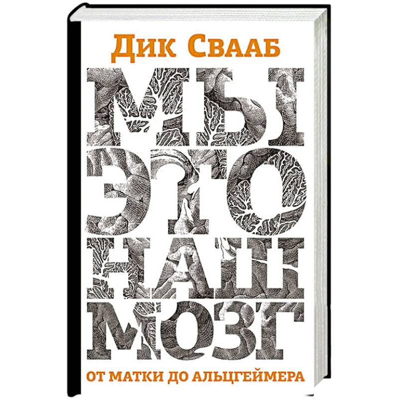 Мы-это наш мозг