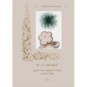 Ж.-Л. Кювье. Царство животных. Лучистые