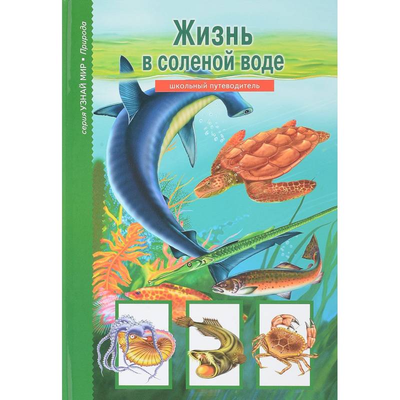 Жизнь в соленой воде. Школьный путеводитель