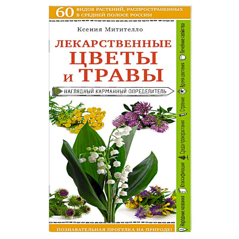 Лекарственные цветы и травы. Наглядный карманный определитель