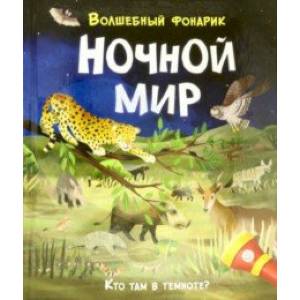 Волшебный фонарик. Ночной мир
