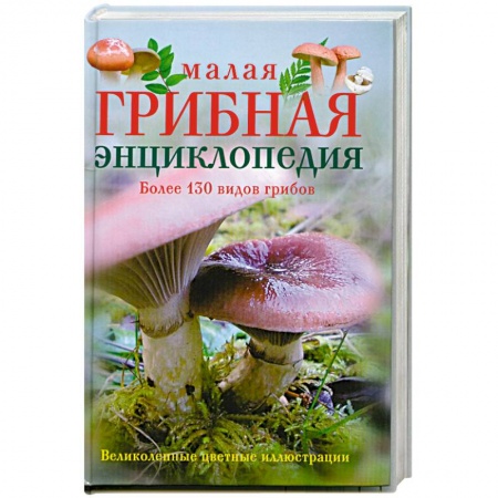 Грибы. Справочники. Определители, книга Малая грибная энциклопедия купить по скидке