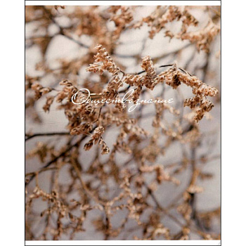 Тетрадь предметная Nude, Обществознание, 48 листов, клетка