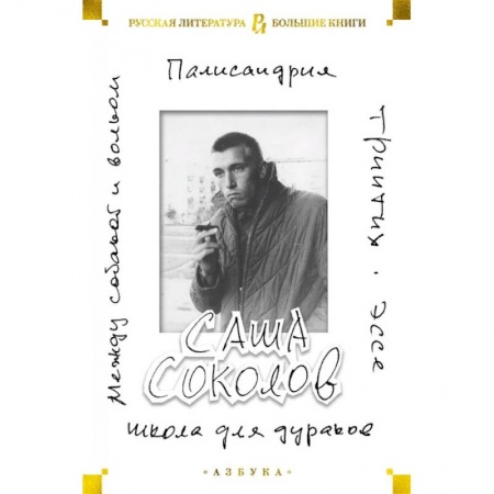 Русская современная проза, книга Школа для дураков. Между собакой и волком. Палисандрия. Эссе. Триптих купить по скидке