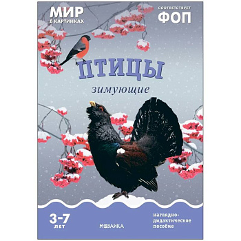 Птицы зимующие: Наглядно-дидактическое пособие
