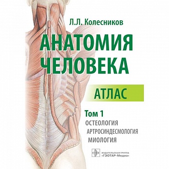 Анатомия человека. Атлас в 3-х томах. Том 1. Остеология, артросиндесмология, миология