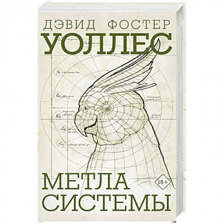 Зарубежная классика, книга Метла системы купить по скидке