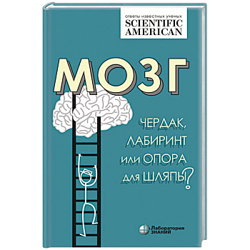 Мозг: чердак, лабиринт или опора для шляпы?