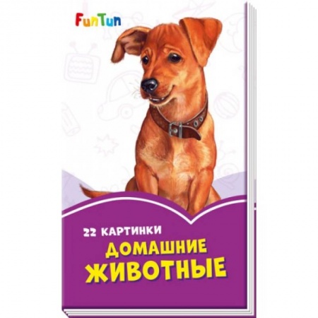 Книги с вырубкой, книга Домашние животные купить по скидке