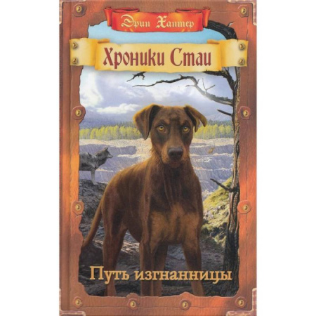 Мистика. Фантастика. Фэнтези, книга Путь изгнанницы купить по скидке