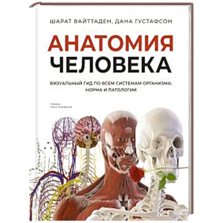 Медицинские энциклопедии и справочники, книга Анатомия человека. Визуальный гид по всем системам организма: норма и патологии купить по скидке