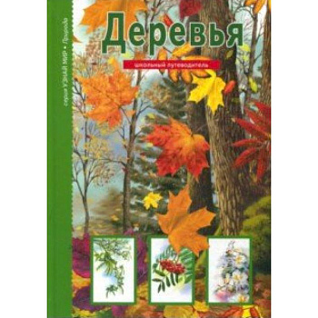 Деревья. Школьный путеводитель