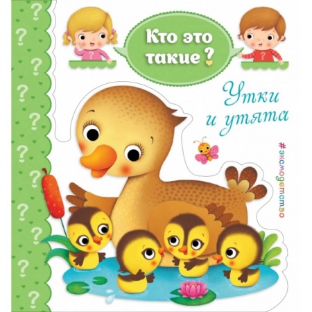 Развитие общих способностей, книга Утки и утята купить по скидке