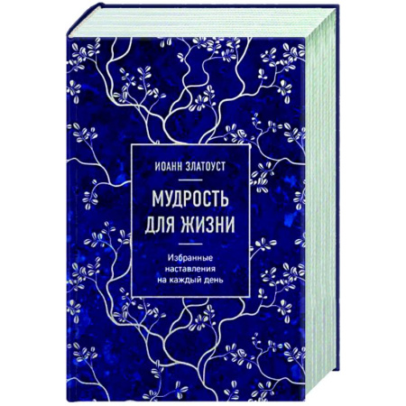 Православие в целом, книга Мудрость для жизни. Избранные наставления на каждый день купить по скидке