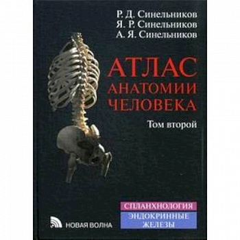 Атлас анатомии человека. Учебное пособие. В 4 томах. Том 2