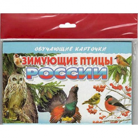 Демонстрационные материалы, книга Зимующие птицы России купить по скидке