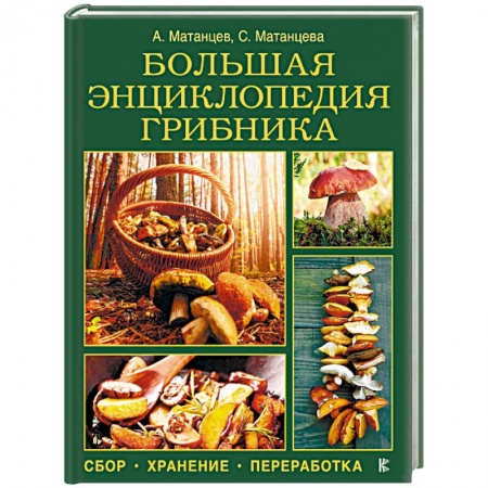 Грибы. Справочники. Определители, книга Большая энциклопедия грибника. Сбор, хранение, переработка купить по скидке