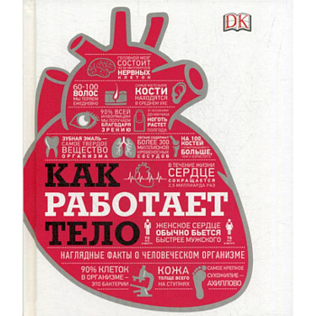 Как работает тело