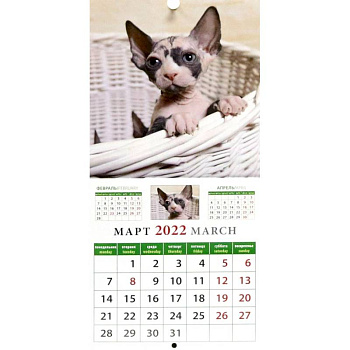 Календарь на 2022 год 'Забавные котята' (30205)