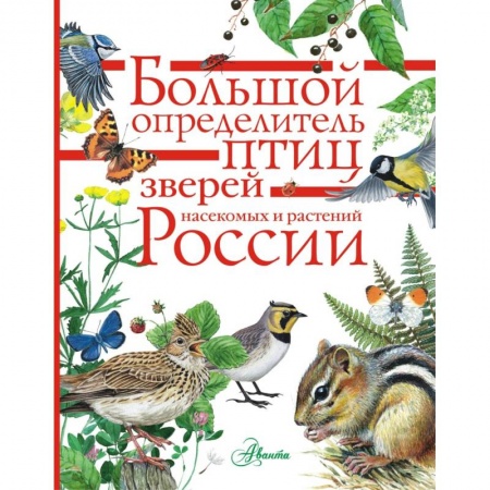 Животный и растительный мир, книга Большой определитель зверей, амфибий, рептилий, птиц, насекомых и растений России купить по скидке