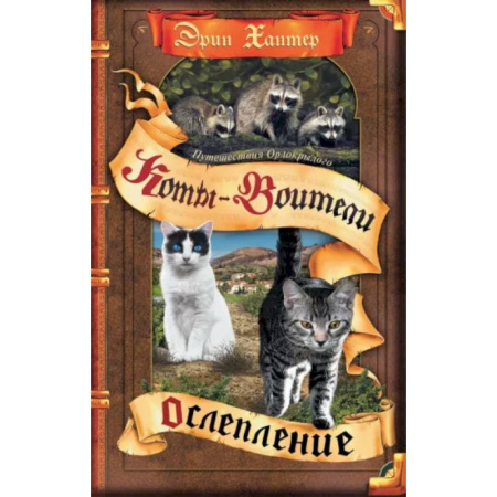 Мистика. Фантастика. Фэнтези, книга Ослепление купить по скидке