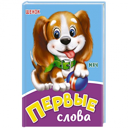 Книги для дошкольников (4-6 лет), книга Первые слова купить по скидке