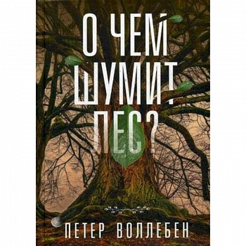 О чем шумит лес? О чем шумит лес?