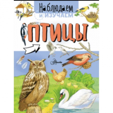 Животный и растительный мир, книга Птицы купить по скидке