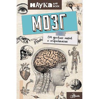 Мозг. От древних мифов к нейробиологии